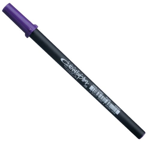 Pigma-Purple-30--1-