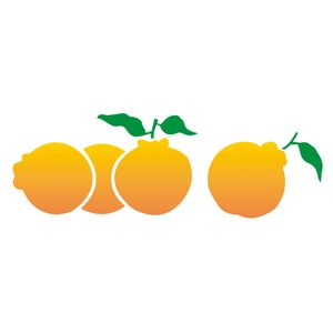 10x30-Simples-Frutas-Ponkan-OPA1875-Colorido