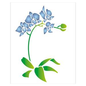 20x25-Simples-Phalaenopsis-OPA1454-Colorido