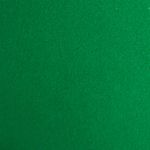 placa-eva-estampado-40x48-Verde-Escuro-6107