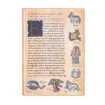 Caderno-Capa-Dura-Pautado-Paperblanks-Astronomica-Midi-18x13cm–FB7289-8_178918_1