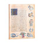 Caderno-Capa-flexivel-Pautado-Paperblanks-Astronomica-De-Sideribus-Tractatus-Midi-23x18cm–FB7287-4_178854_2