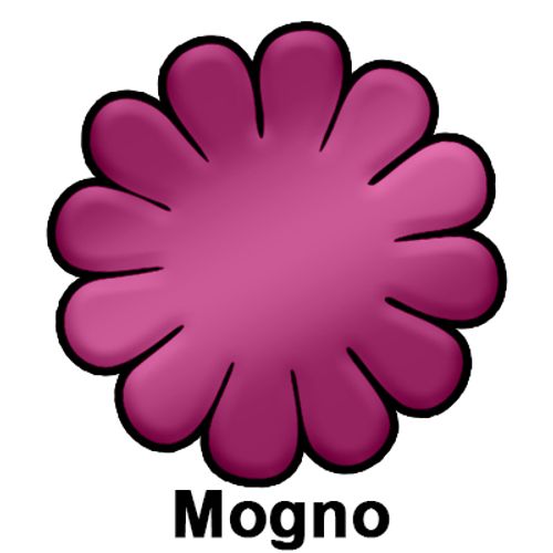 Mogno-9369