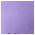 PL0106940-31194-violeta_1