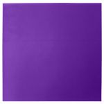 PL0106940-31194-violeta_2