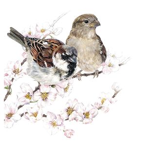 guardanapo-para-decoupage-ambiente-com-2-unidades-sparrows-blossom-13313895