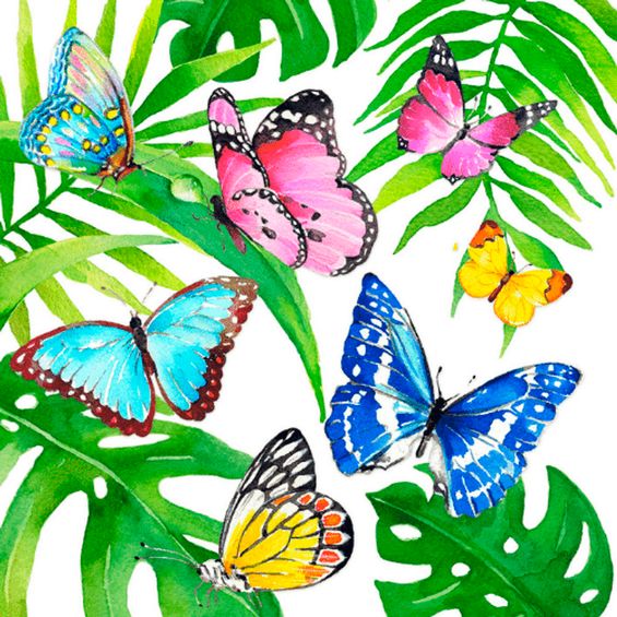 Guardanapo para Decoupage Paperdesign com 02 Unidades Tropical Butterflies - 1333235