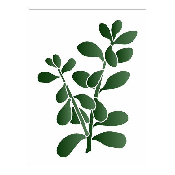 Stencil de Acetato Opa - 3383 Plantas Jade 15 X 20cm