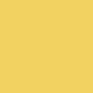 Y114-Mustarda_11zon