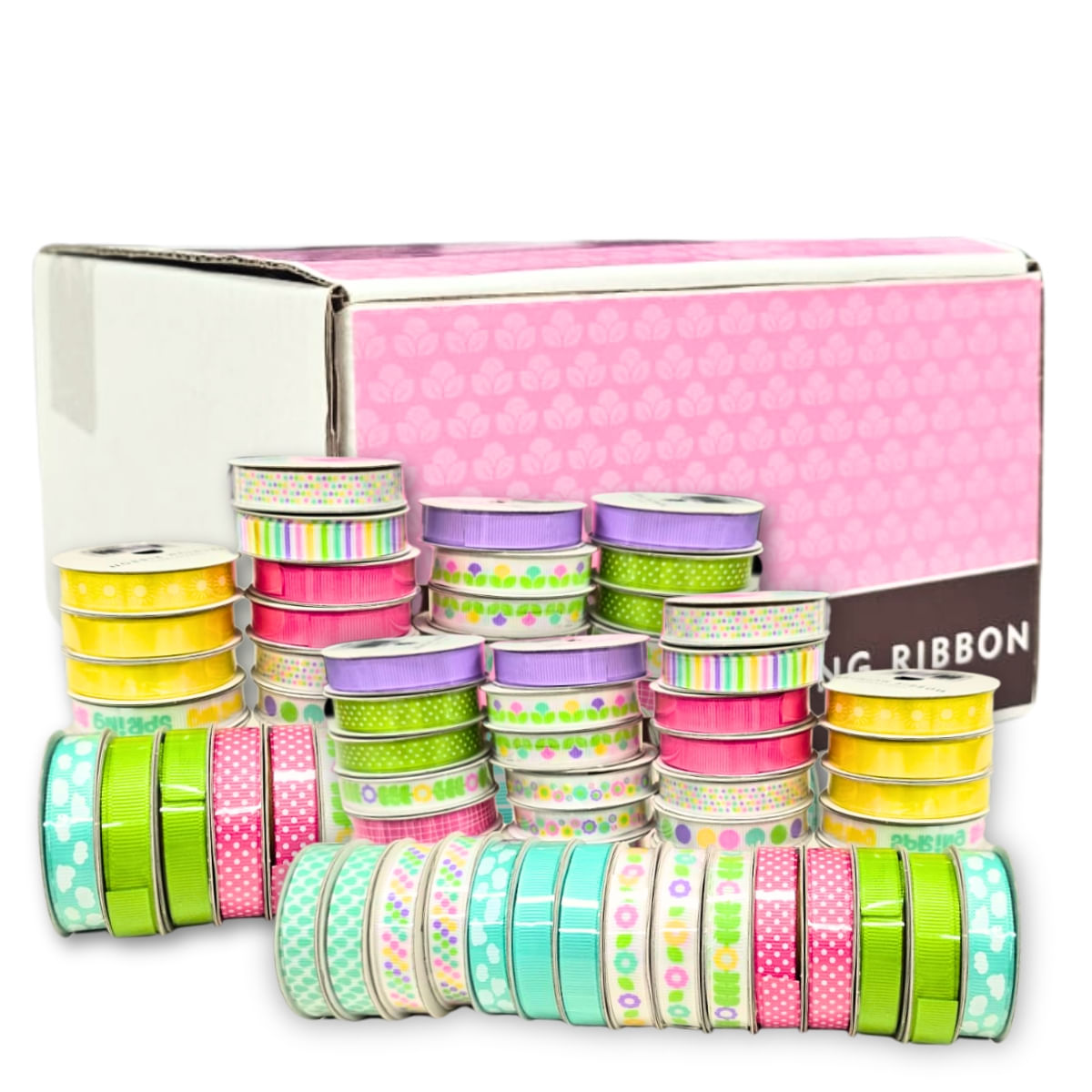 195448-premium-dollar-ribbon-box---96-pieces---spring-94710-75059